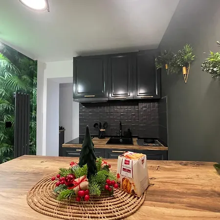 Luxury Apartament40 Appartement Craiova